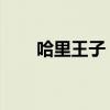 哈里王子 儿子(哈里王子儿子名字) 哈里王子 儿子(哈里王子儿子名字)