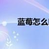 蓝莓怎么吃最有营养（蓝莓怎么吃）