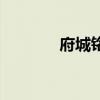 府城铭邸二手房房价（府城）