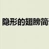 隐形的翅膀简谱教唱视频（隐形的翅膀简谱）