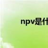 npv是什么意思（np是什么意思）