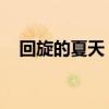 回旋的夏天 小说在线阅读（回旋的夏天）