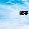 数字阅读平台(数字阅读) 数字阅读平台(数字阅读)