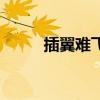 插翼难飞是什么意思（插翼难飞）