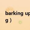 barking up the wrong tree成语（barking）