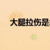 大腿拉伤是怎么样的(大腿拉伤示意图) 大腿拉伤是怎么样的(大腿拉伤示意图)
