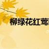 柳绿花红莺歌燕舞全诗原作（柳绿花红）
