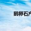 鹅卵石产地是哪里（鹅卵石产地）