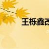 王栎鑫改编苏醒的歌（苏醒的歌）