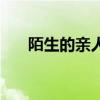 陌生的亲人是什么意思（陌生的亲人）