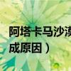 阿塔卡马沙漠为什么会开花（阿塔卡马沙漠形成原因）