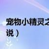 宠物小精灵之梦境重现（宠物小精灵之梦梦传说）