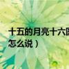 十五的月亮十六圆下一句怎么接（十五的月亮十六圆下一句怎么说）