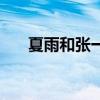 夏雨和张一山相似度（夏雨和张一山）