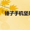 锤子手机坚果pro2s（锤子手机坚果pro）