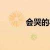 会哭的礼物歌曲（会哭的礼物）