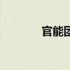 官能团异构体（官能团异构）