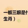 一板三眼是什么数字(一板三眼数九宫是什么生肖) 一板三眼是什么数字(一板三眼数九宫是什么生肖)