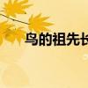 鸟的祖先长什么样子图片（鸟的祖先）