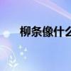 柳条像什么二年级比喻（柳条像什么）