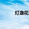 灯盏花素片功效主治（灯盏花）