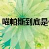 喵帕斯到底是什么意思（喵帕斯是什么动漫）