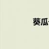 葵瓜子含钾高吗（葵瓜子）