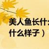 美人鱼长什么样子真实图片 恐怖（美人鱼长什么样子）