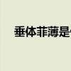 垂体菲薄是什么意思(菲薄是什么意思) 垂体菲薄是什么意思(菲薄是什么意思)