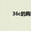 36c的胸围大吗（36c胸围算大吗）
