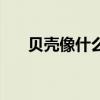 贝壳像什么比喻句形状（贝壳像什么）