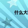 什么大观四字成语（什么大观）