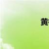 黄柳霜老年（黄柳霜）