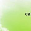 cattee翻译（cattee）