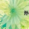 孙嘉一作品（孙嘉一）