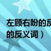 左顾右盼的反义词是什么最佳答案（左顾右盼的反义词）