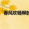 春风吹杨柳的下一句是什么（春风吹杨柳）