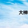 大神陪玩官网（大神陪玩）