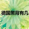德国黑背有几个品种(德国黑背的致命缺点) 德国黑背有几个品种(德国黑背的致命缺点)