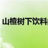 山楂树下饮料的功效和作用(山楂树下饮料) 山楂树下饮料的功效和作用(山楂树下饮料)
