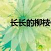 长长的柳枝像什么填空（长长的柳枝像）