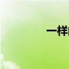 一样的拼音（样子的拼音）