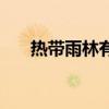 热带雨林有什么水果（热带雨林植物）
