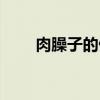 肉臊子的做法（羊肉臊子面的做法）