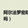 阿尔法罗密欧几线品牌（阿尔法罗密欧算高档吗）