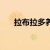 拉布拉多养狗（养拉布拉多的血泪史）