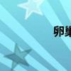 卵巢肿瘤严重吗（卵巢）