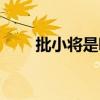 批小将是哪类人（批小将什么意思）
