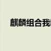 麒麟组合我晚上春晚总决赛（麒麟组合）