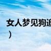 女人梦见狗追咬是什么预兆（梦见被狗追着咬）